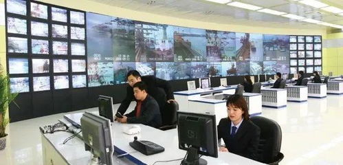 專業群巡禮 青島港灣職業學院信息技術專業群，信息技術咨詢服務探析